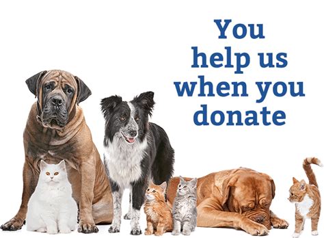 best cat charities|Ways to Give .